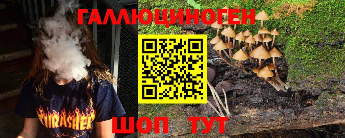Каспийск  Псилоцибиновые грибы Psilocybine cubensis  Вход с VPN  Галлюциногенные грибы MAGIC MUSHROOMS 