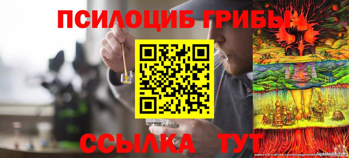 Галлюциногенные грибы GOLDEN TEACHER Каспийск